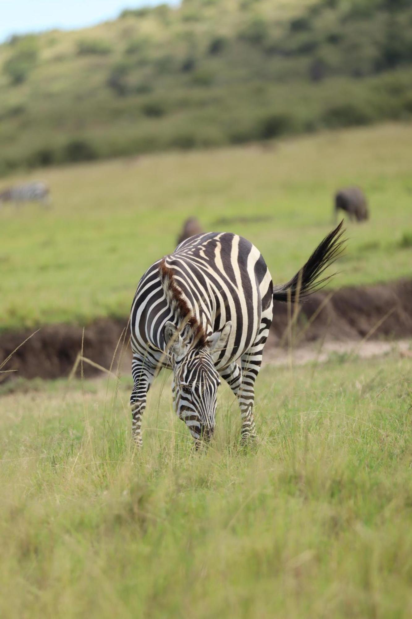 Ilkerin Camp Maasai Mara Bed & Breakfast Sekenani ภายนอก รูปภาพ